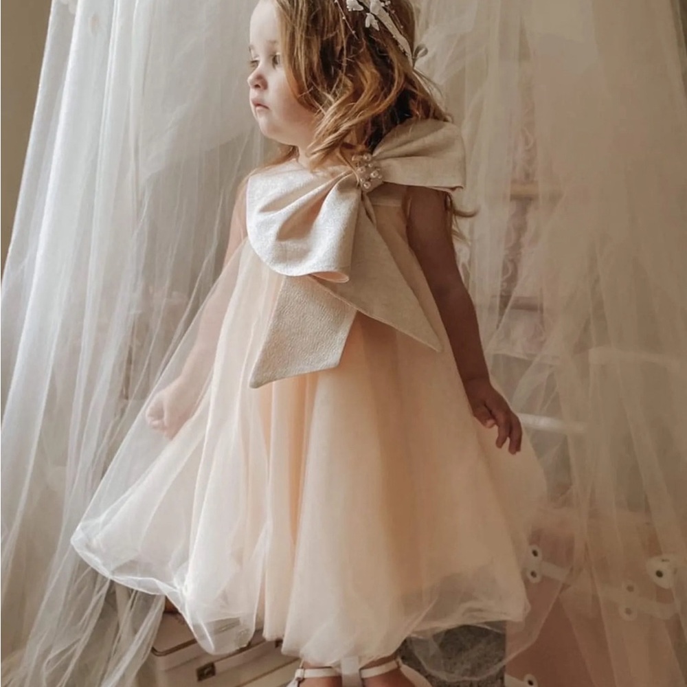 Petite Maison Kids Girl's Jackie Layered Tulle Dress W/ Oversized Bow